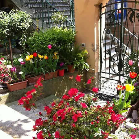 Konukevi Soffio Di Mare Camogli