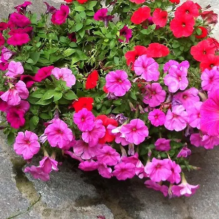 Soffio Di Mare Camogli