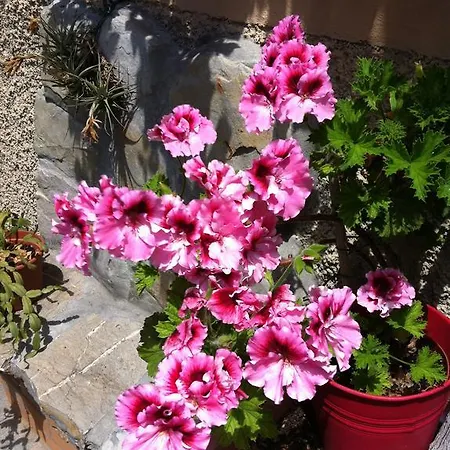 Casa de hóspedes Soffio Di Mare 4*