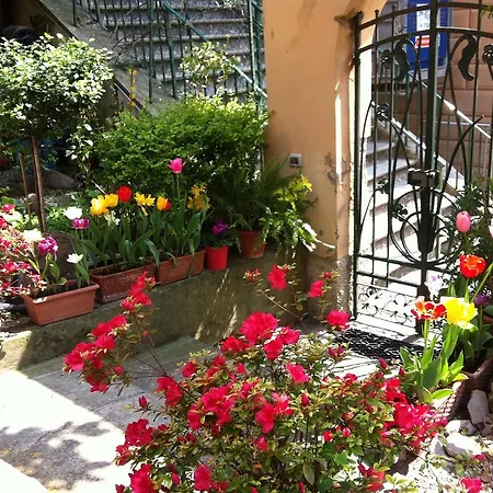 Affittacamere Soffio Di Mare Camogli